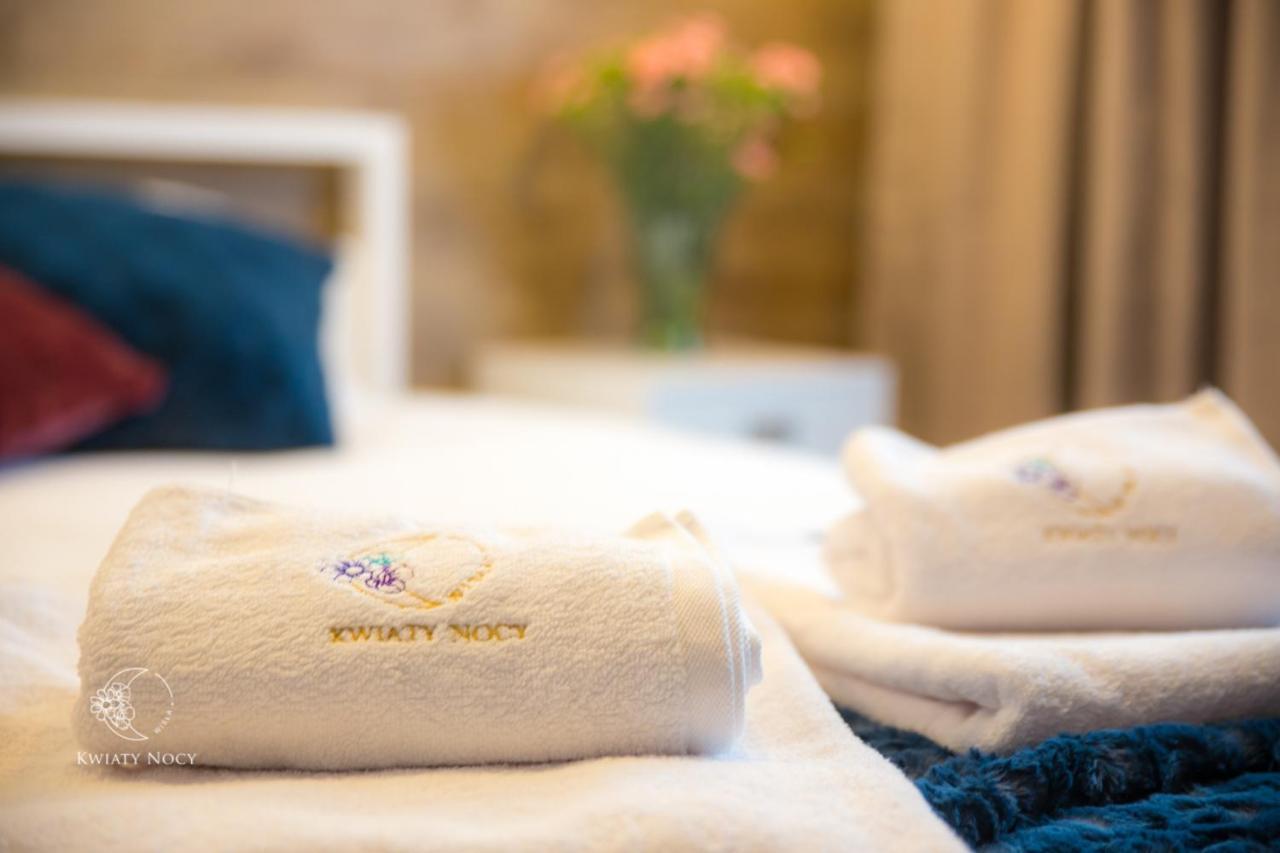 Apartamenty "Kwiaty Nocy" I "W Krainie Mchu" - ヴィスワ エクステリア 写真